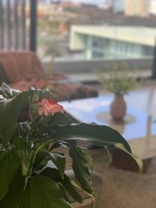 a plant sitting on a table in a living room at Carlton Stunning View Apartment with Free Parking -2 in Melbourne