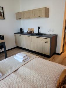 a room with a bed and a kitchen with a sink at Apartament przy Starówce in Elblag