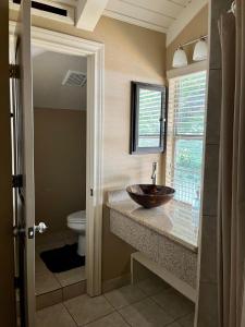 a bathroom with a sink and a toilet at Hideaway - 3 BR Home with PRIVATE POOL on wooded lot in Montgomery