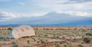 een tent midden in een veld met een berg bij Little Amanya Camp in Amboseli