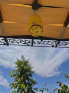 Photo de la galerie de l'établissement Fragrant Rose, à Wadi Musa