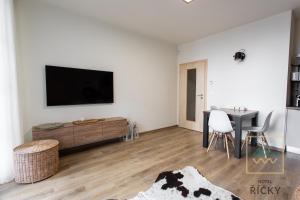 TV a/nebo společenská místnost v ubytování Apartmány Perla - Hotel Říčky