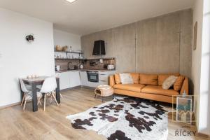 Kuchyň nebo kuchyňský kout v ubytování Apartmány Perla - Hotel Říčky