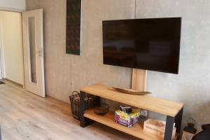 TV a/nebo společenská místnost v ubytování Apartmány Perla - Hotel Říčky