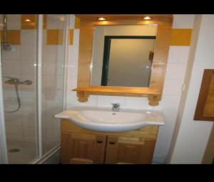 a bathroom with a sink and a shower and a mirror at Résidence les chalets du Galibier Piscine Sauna Hammam WIFI in Valloire