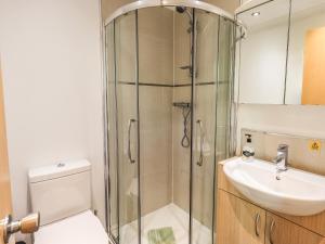 a bathroom with a shower and a toilet and a sink at Forest Pines Lodge in Bowness-on-Windermere +26 photos