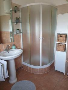a bathroom with a shower and a sink at Apartment Neli in Polača