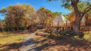 Zahrada ubytování Glamping Dunas del sol