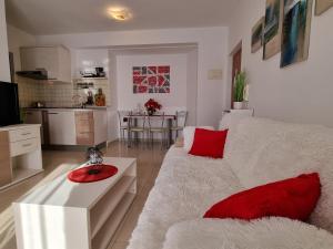 Kuchnia lub aneks kuchenny w obiekcie Apartments Medulin - Orijeta