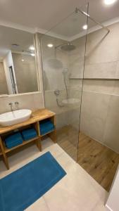 a bathroom with a shower and a sink and a mirror at Ferienwohnung mit Garten in Strasswalchen