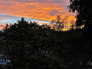 a tree with a sunset in the background at Casa Hostel MamaChinca in Barichara +18 photos