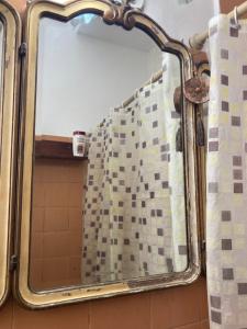 a mirror in a bathroom with a shower curtain at Apartment Corazón de San Telmo in Buenos Aires