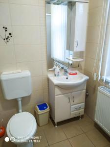 een badkamer met een toilet, een wastafel en een spiegel bij Bodzás vendégház - Bodza u.4. in Kiskunmajsa