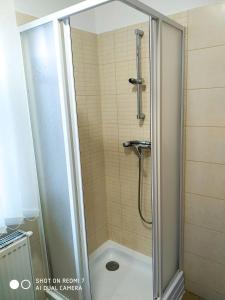 a shower with a glass door in a bathroom at Bodzás vendégház - Bodza u.4. in Kiskunmajsa