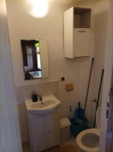 ein Badezimmer mit einem Waschbecken, einem WC und einem Spiegel in der Unterkunft Domek z bala in Sejny