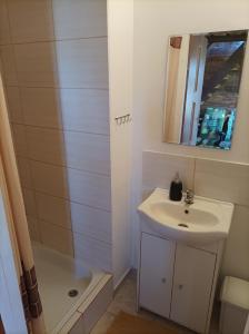 a bathroom with a sink and a shower at Domek z bala in Sejny