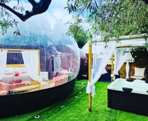 ein Schlafzimmer in einem Blasenzelt im Gras in der Unterkunft Bubble Glamping Sicily in Catania