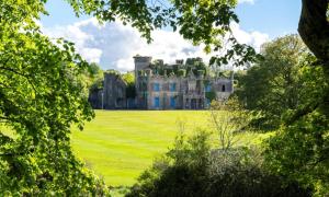 an old castle in the middle of a green field at Woodhill Lodge Irvinestown, Necarne in Irvinestown