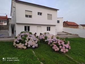 Zahrada ubytování Vivienda completa cerca de la playa