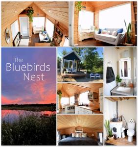 a collage of photos of a house with the bluebirds nest at The Bluebirds Nest in Dufrost