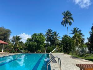 ein Pool mit Palmen im Hintergrund in der Unterkunft 贝鲁沃勒中国民宿 in Ambepitiya