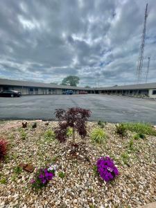 a parking lot with purple flowers in front of a building at Economy Inn in Ada