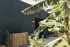Casa da Aldeia - Small House Selva - Peniche - Baleal في Casais Brancos: غرفة ذات جدار أسود وبعض النباتات