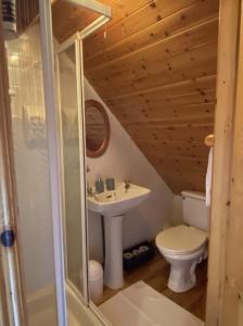 a bathroom with a sink and a toilet in a cabin at Lands End Cottage - Connemara in Aughrus More