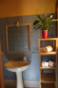 a bathroom with a sink and a potted plant at Vento di Grecale in Favignana