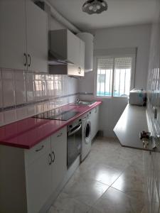cocina con encimera rosa y lavavajillas en Casa a 3 minutos del Casco y con facil aparcamiento- El rincón de Carmela en Talavera de la Reina