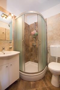 a bathroom with a shower with a toilet and a sink at Apartments Orica II in Šipanska Luka