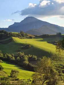 a green field with a mountain in the background at Drevenice Osádka 