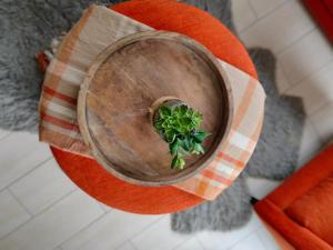 uma planta numa tigela de madeira sobre uma mesa em Casa Cacho em Tijuana