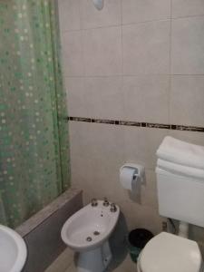 a bathroom with a toilet and a sink and a shower at Departamentos del Puerto Verde in Paraná