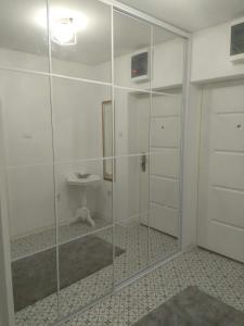 une douche en verre dans une salle de bain avec un lavabo dans l'établissement Tiski Cvet, à Titel 9 autres photos