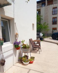 a patio with potted plants on the side of a building at Old marine house in Tivat