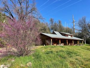 a log cabin on a hill with a tree at Bear Creek Cabins in Midpines