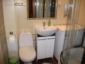 uma casa de banho com um WC, um lavatório e um chuveiro em Dex em Cracóvia