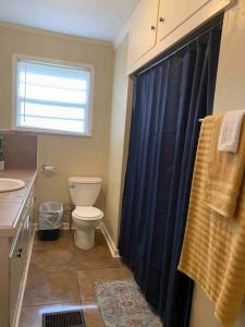 uma casa de banho com um WC e uma cortina de chuveiro azul em The Jungalow em Brookhaven