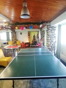 Instalaciones para jugar al ping pong en Villa Andreea o alrededores