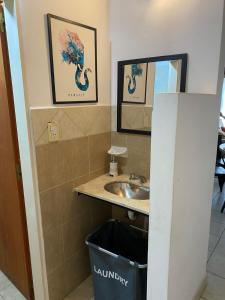 baño con lavabo y cubo de basura en Temporario Roca en Corrientes