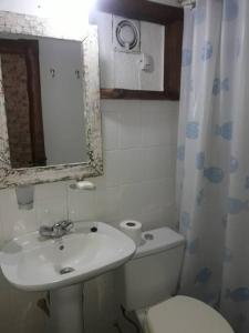 W łazience znajduje się umywalka, toaleta i lustro. w obiekcie Casa en el bosque a metros del lago Nahuel Huapi w mieście Bariloche