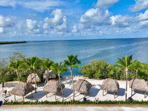 a group of straw umbrellas on a beach with palm trees at Gilbert's Resort in Key Largo