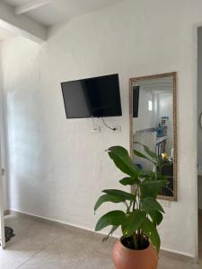 a living room with a tv on a wall with a plant at Cabaña Doradal MILOS in Puerto Triunfo