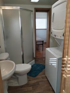 a bathroom with a toilet and a shower and a sink at Sky Harbor Cabin - Homer Seaplane Base in Homer