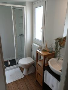 Un baño con inodoro, lavabo y ducha. en Lado Mobile Home Croatia, Camp Oaza Lučica, Drage, en Drage 38 fotos más