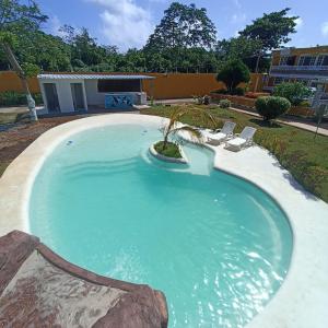a large swimming pool with a palm tree in it at Hotel Campestre Dorado SAI in San Andrés