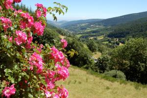 vista su una valle con fiori rosa su una collina di Ancienne petite ferme rénovée a Saint-Régis-du-Coin