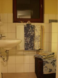 a bathroom with a sink and a mirror at Apartment Wittenberg in Lutherstadt Wittenberg