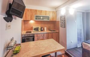 Küche/Küchenzeile in der Unterkunft Amazing Apartment In Rijeka With Kitchen